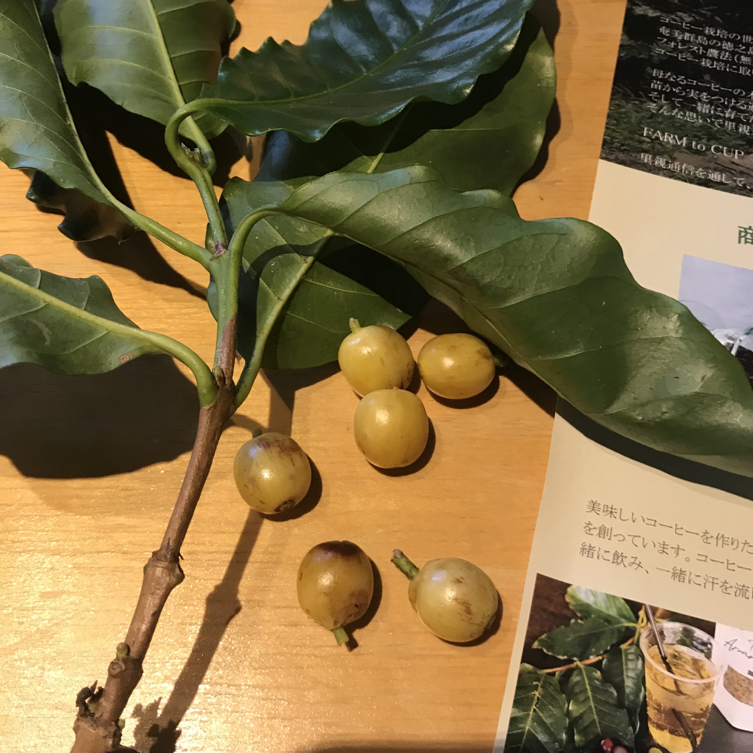 お菓子と雑貨のお店